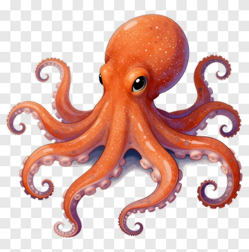 Cartoon Orange Octopus PNG