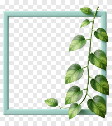Green Leafy Frame With Vines PNG