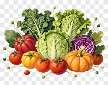 Colorful Vegetable Arrangement With Lettuce And Pumpkin PNG