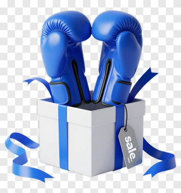 Boxing Gloves In A Gift Box PNG