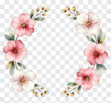 Watercolor Floral Frame With Pink And White Flowers PNG