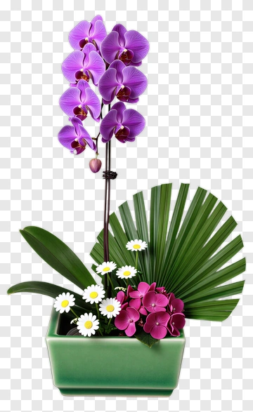 Purple Orchid Arrangement In A Green Pot PNG