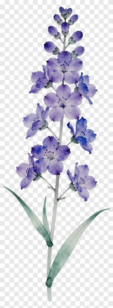 Watercolor Purple Flower PNG