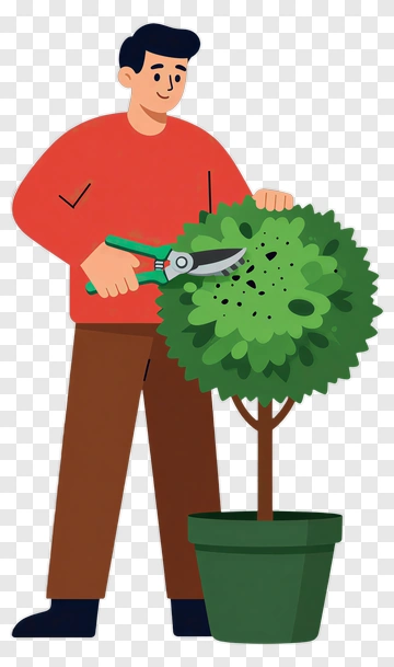 Gardener Pruning A Potted Plant PNG