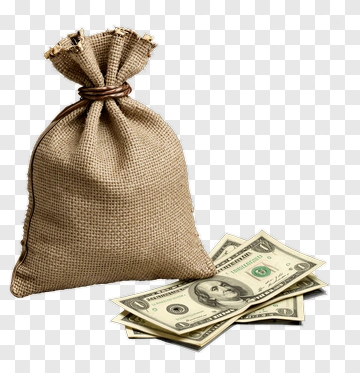 Money Bag With Dollar Bills PNG