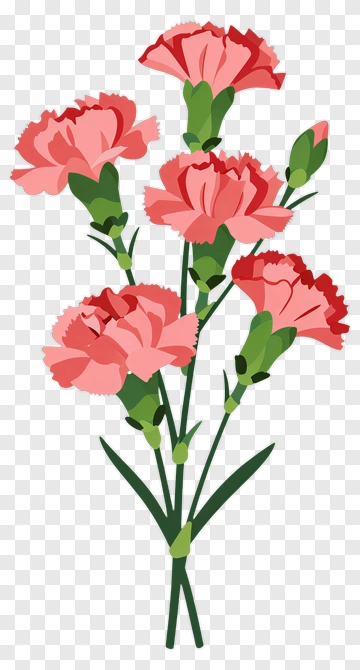 Pink Carnation Bouquet PNG