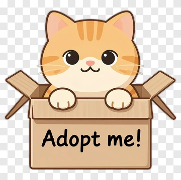 Cartoon Cat In A Box With Adopt Me Sign PNG