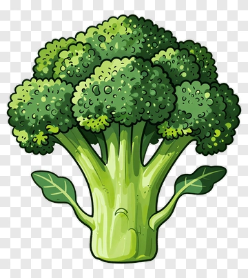 Cartoon Broccoli PNG