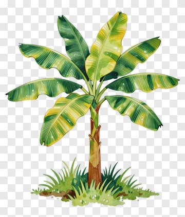 Colorful Banana Tree PNG