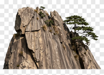 Rock Formation With Pine Tree PNG