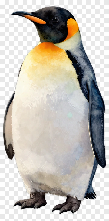 Realistic Penguin PNG