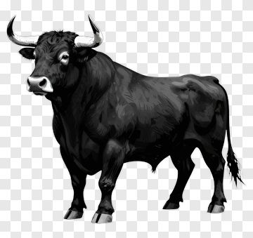 Black Bull PNG