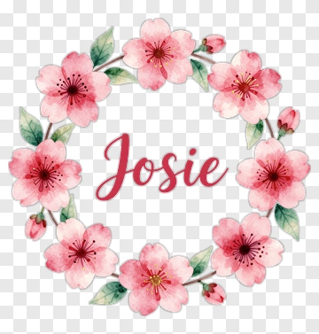 Watercolor Floral Wreath With The Name Josie PNG