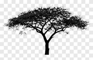 Silhouette Tree PNG
