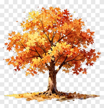 Colorful Maple Tree With Autumn Leaves PNG