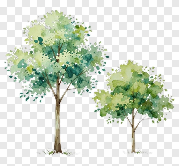 Watercolor Trees PNG