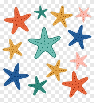 Colorful Starfish Collection PNG