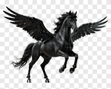 Black Winged Horse PNG