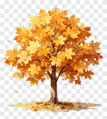 Colorful Autumn Tree PNG