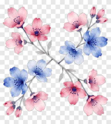 Watercolor Blue And Pink Flower Bouquet PNG