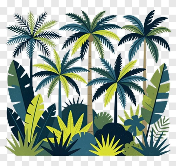 Tropical Jungle With Palm Trees And Lush Foliage PNG