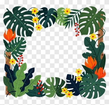 Tropical Leaf Frame With Flowers PNG
