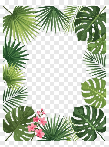 Tropical Leaf Frame With Pink Flowers PNG