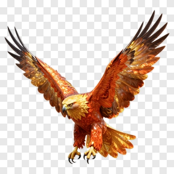 Colorful Eagle In Flight PNG