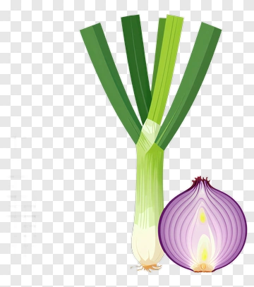 Green Onion And Red Onion Composition PNG