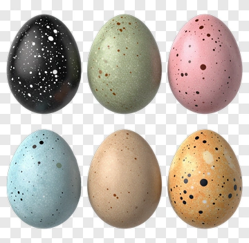 Colorful Speckled Easter Eggs PNG