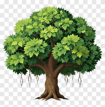 Colorful Tree PNG