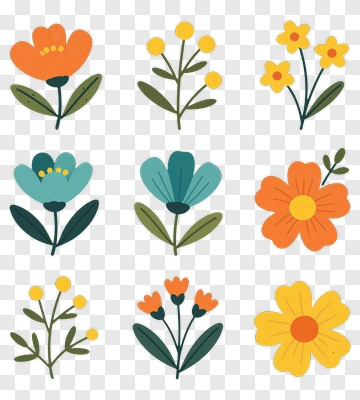 Colorful Flower Collection PNG