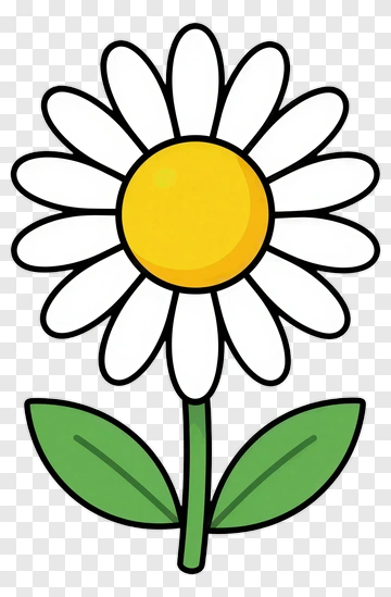 Cartoon Daisy Flower PNG