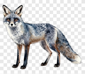 Realistic Fox Standing In A Natural Pose PNG