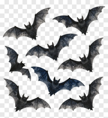 Flying Bats In Various Poses PNG
