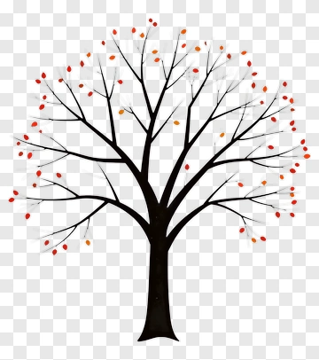 Tree With Colorful Autumn Leaves PNG