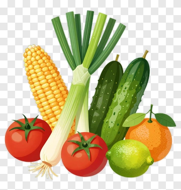 Colorful Vegetable Arrangement PNG