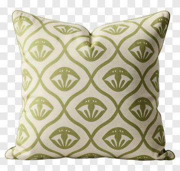 Decorative Pillow With Green Pattern PNG