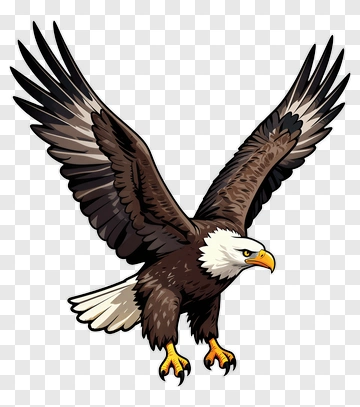 Cartoon Eagle Flying With Outstretched Wings PNG