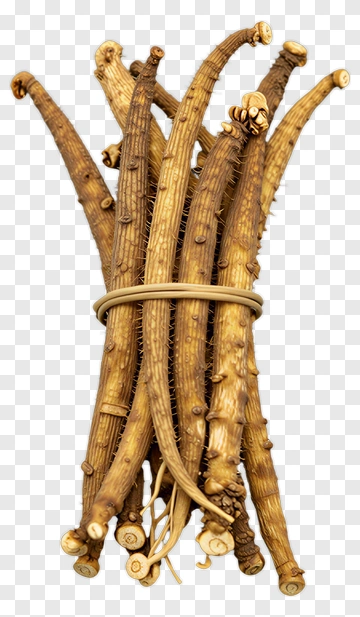 Bundle Of Twisted Sticks PNG