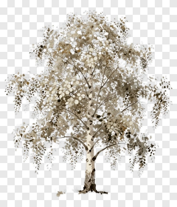 Felt Tree With Leaves PNG