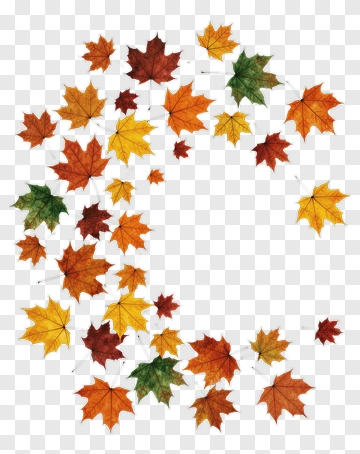 Colorful Autumn Leaves PNG