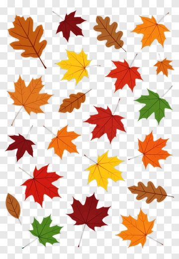 Colorful Autumn Leaves PNG