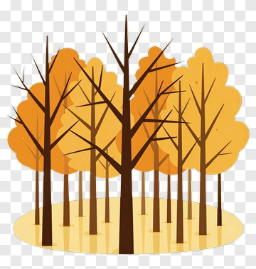 Colorful Autumn Trees PNG