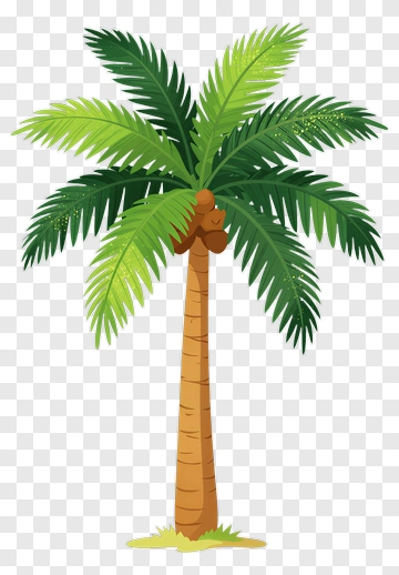 Colorful Palm Tree PNG