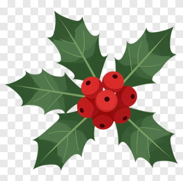 Holly Leaves With Red Berries PNG