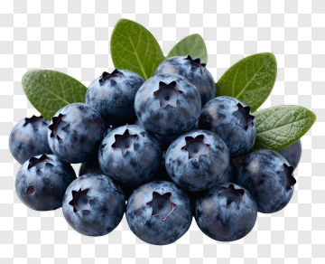 Fresh Blueberries With Green Leaves PNG