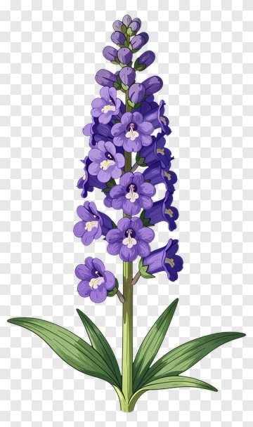 Purple Flower With Green Leaves PNG