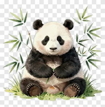 Cute Panda Sitting Among Bamboo PNG