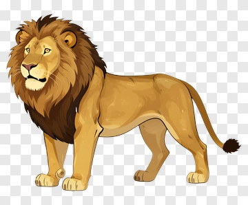 Cartoon Lion PNG